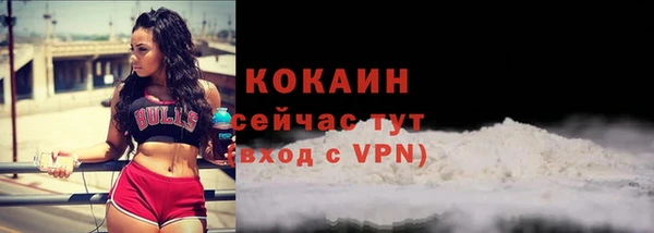 твердый Магадан