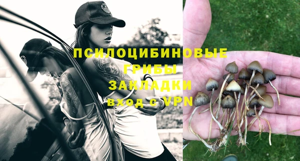 СК Долгопрудный