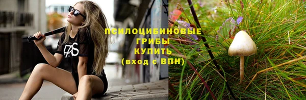 первитин Медвежьегорск