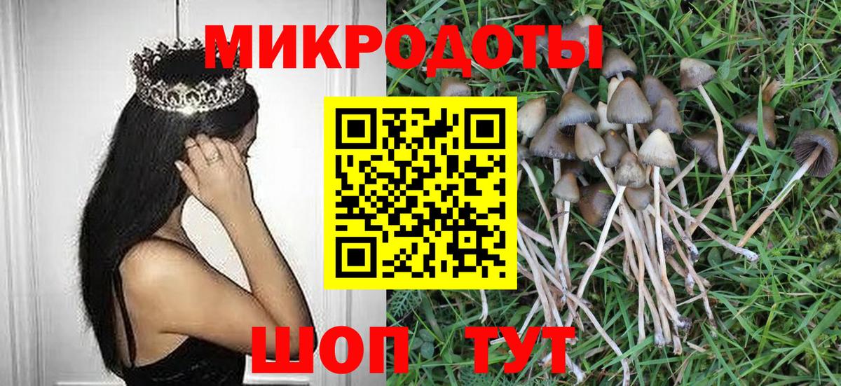 Псилоцибиновые грибы прущие грибы Бор