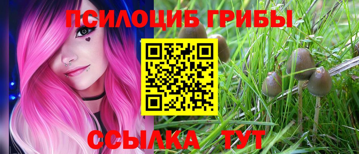 Псилоцибиновые грибы мицелий  Бор 