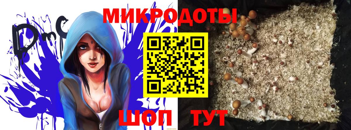 Бор  Галлюциногенные грибы MAGIC MUSHROOMS  Вход с VPN 